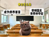 漫天的欢呼正是我的选择