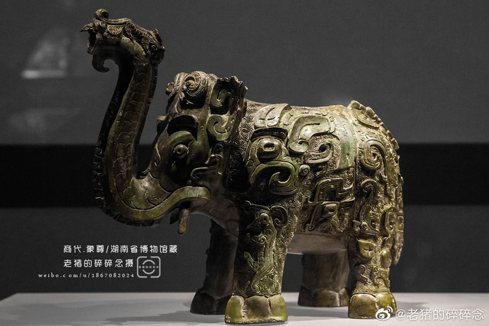 孤品｜国内仅存的商代青铜象尊__财经头条__新浪财经