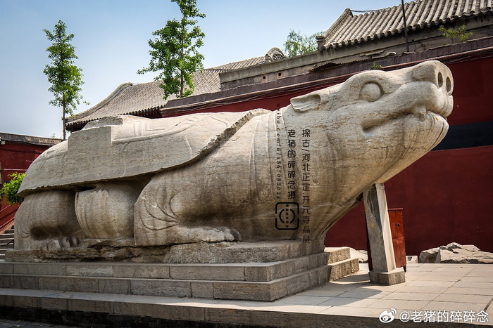 掌上博物馆|各地所见之古代赑屃