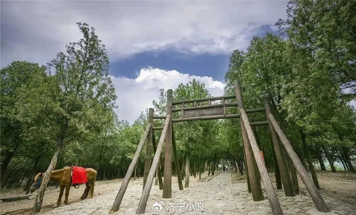 趣游济宁 | 济宁真的很"富"有!吴克群忍不住爱了