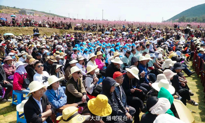 6/ 9桃园是放歌的好地方,3月15日至17日,祥云县第二届桃花节在禾甸镇