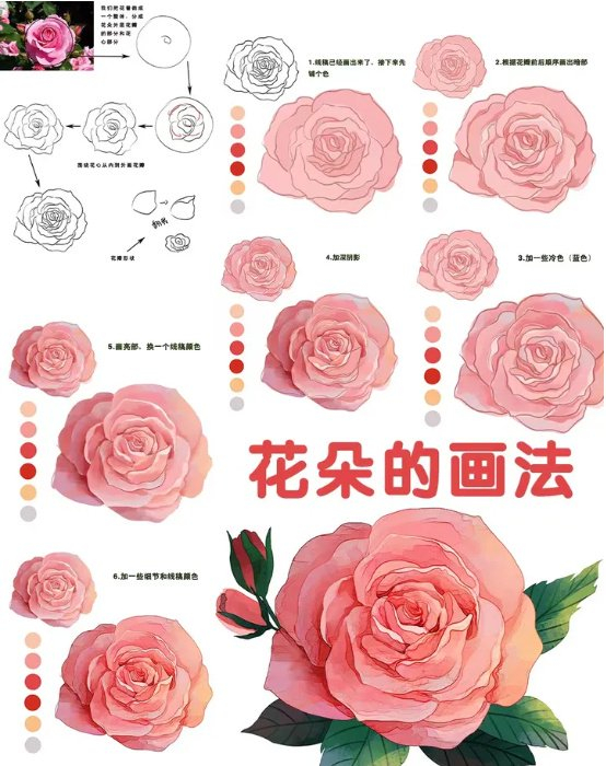 加深阴影6.画亮部,亮部加暖色7.加深细节最后加上叶片,画法