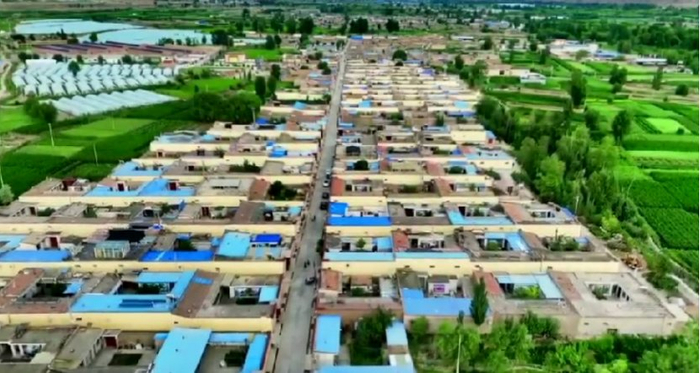 甘肃永登县:"小菜园"扮靓美丽乡村