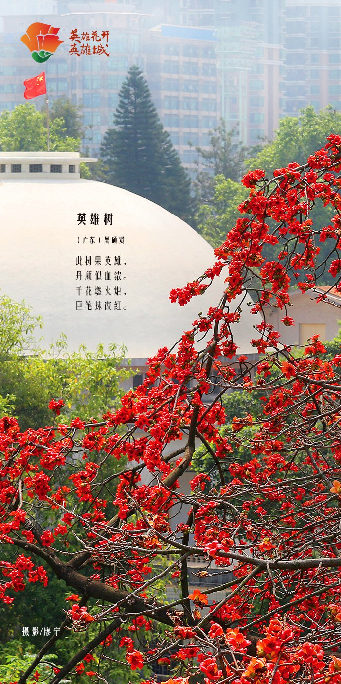 《英雄花开英雄城》摄影作品海报 67木棉花是热烈的火焰是英雄的
