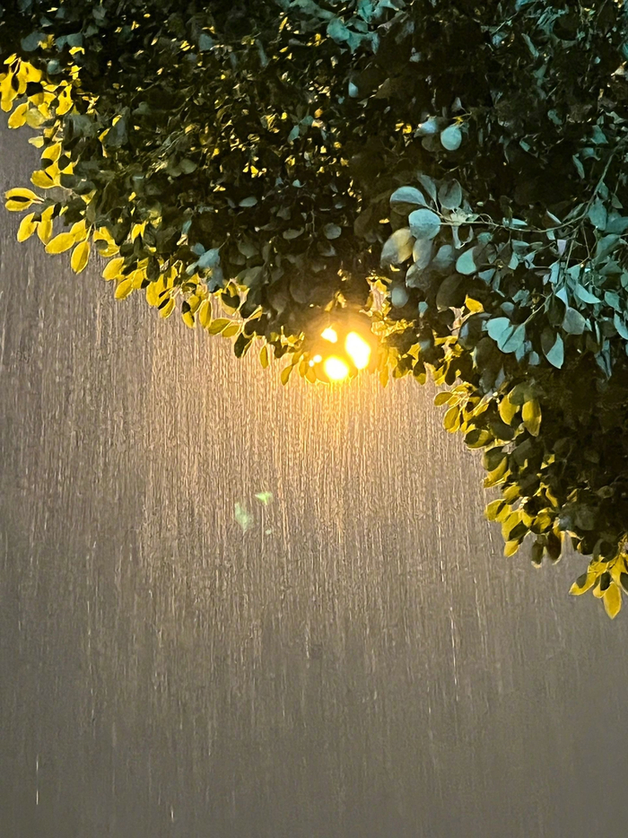 雨天是最好的氛围感