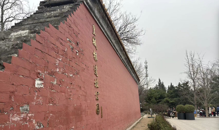 皇城根遗址公园玉兰花开今天的空气质量还不如昨儿,索性在家看书吧