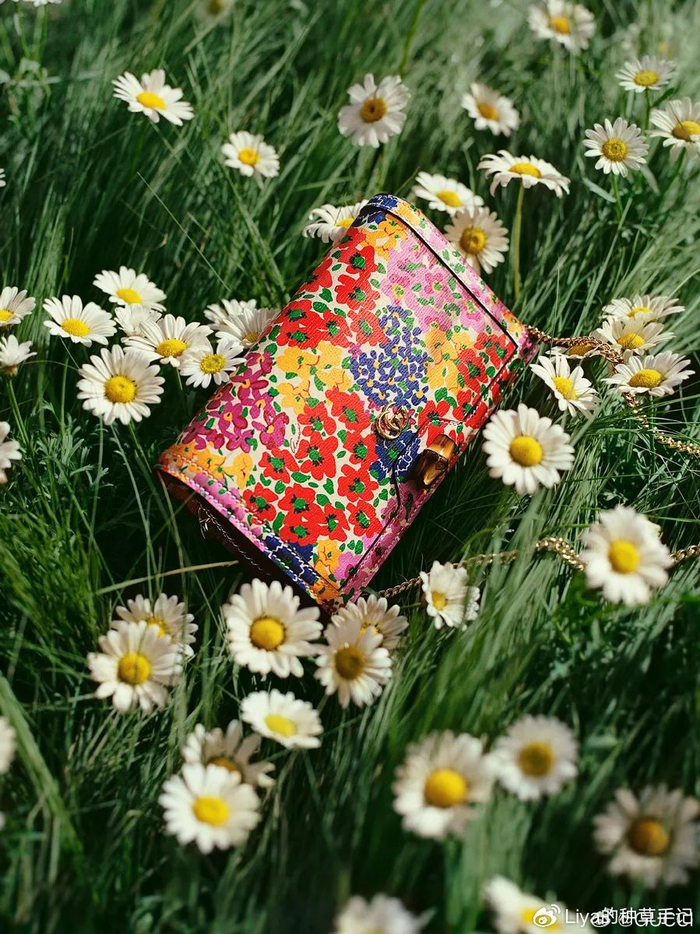 gucci:东北花袄成精