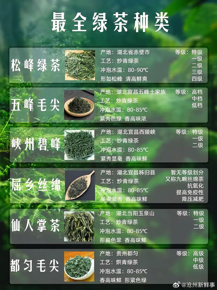 1文了解54种名优绿茶珍藏版