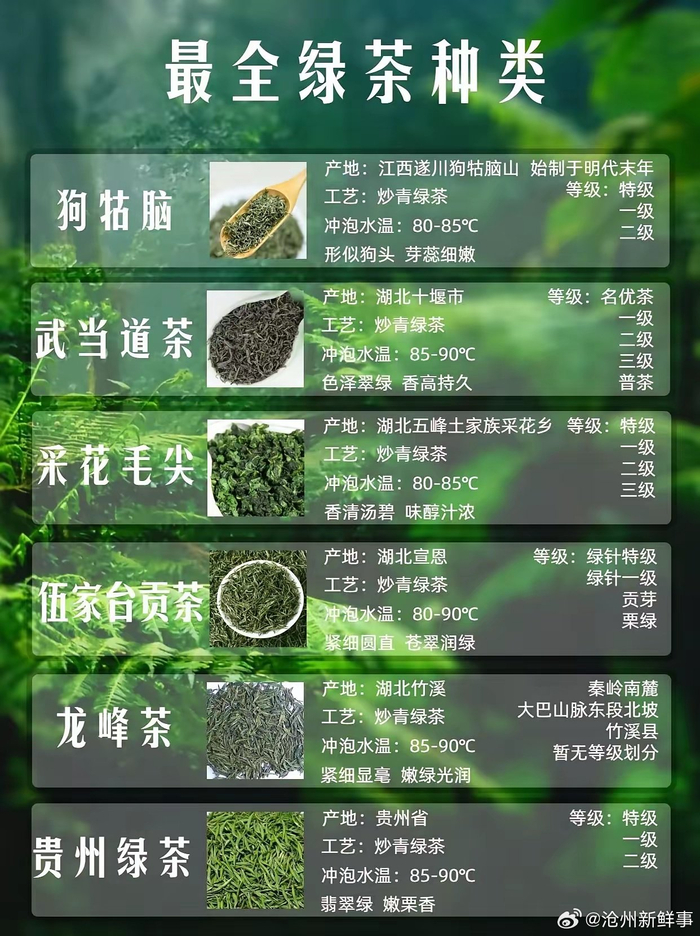 1文了解54种名优绿茶(珍藏版)