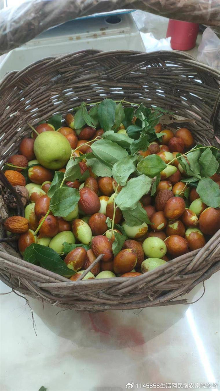 天津市蓟州区下营镇荟缘农家院,可住50人,三餐一宿人均才118!