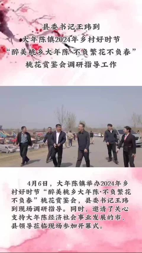 惠民县委书记王玮到大年陈镇2024年乡村好时节桃花赏鉴会调研