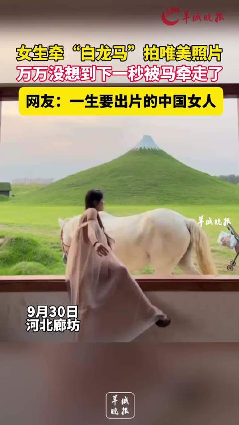 女生牵"白龙马"拍唯美照片,万万没想到下一秒被马牵走了