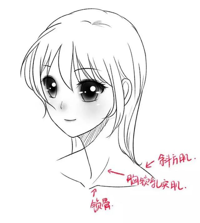 女性的锁骨怎么画?教你如何画出性感诱人的肩颈锁骨!