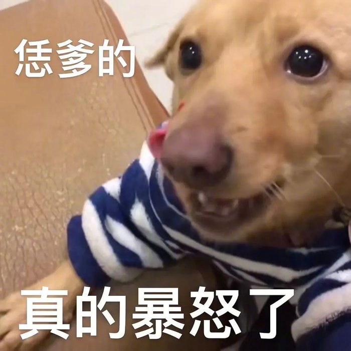每日表情包更新,等你来领新欢乐!