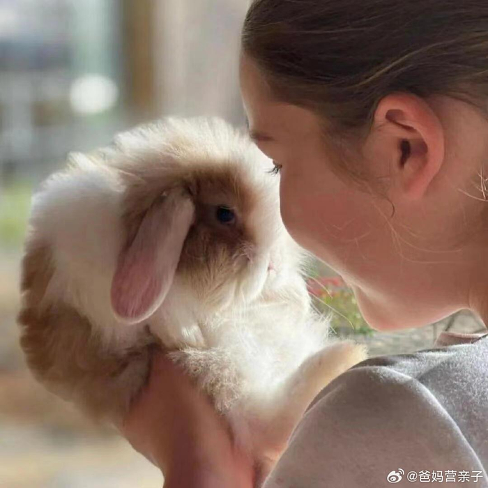 一组小七和她的萌宠的合照,可爱治愈