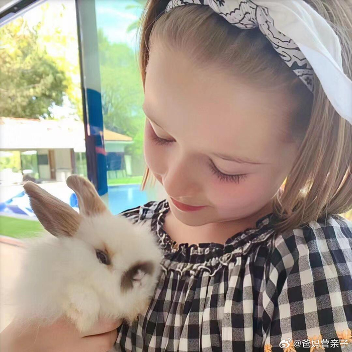 一组小七和她的萌宠的合照,可爱治愈