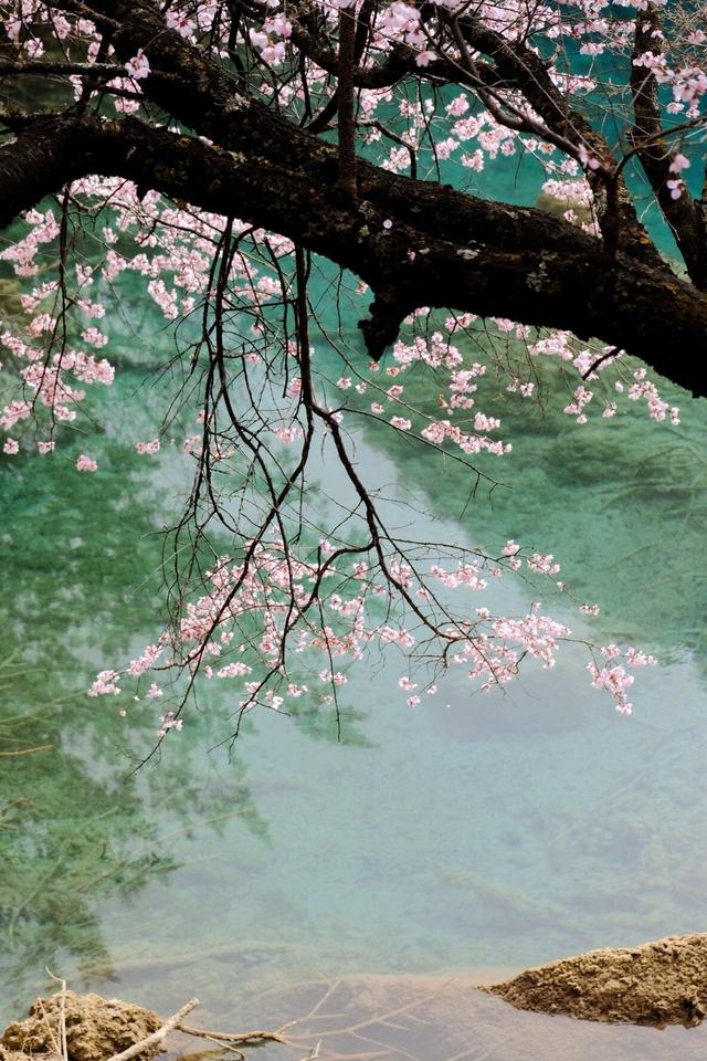正逢好时节，去九寨沟看一场春水吧