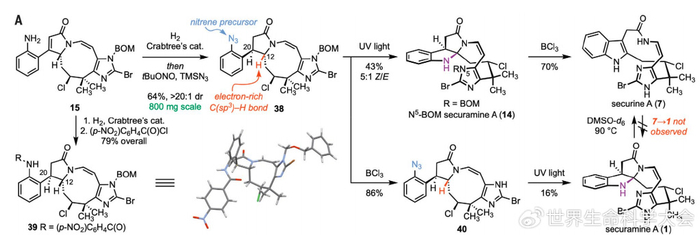 bom保护:商业可得的4-乙腈基咪唑20,与钠氢化物(nah)和苄基氯甲基醚