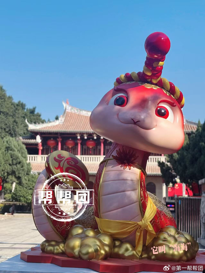 泉州古城迎来“新宠”——七彩刺桐蛇,寻蛇打卡攻略来啦!