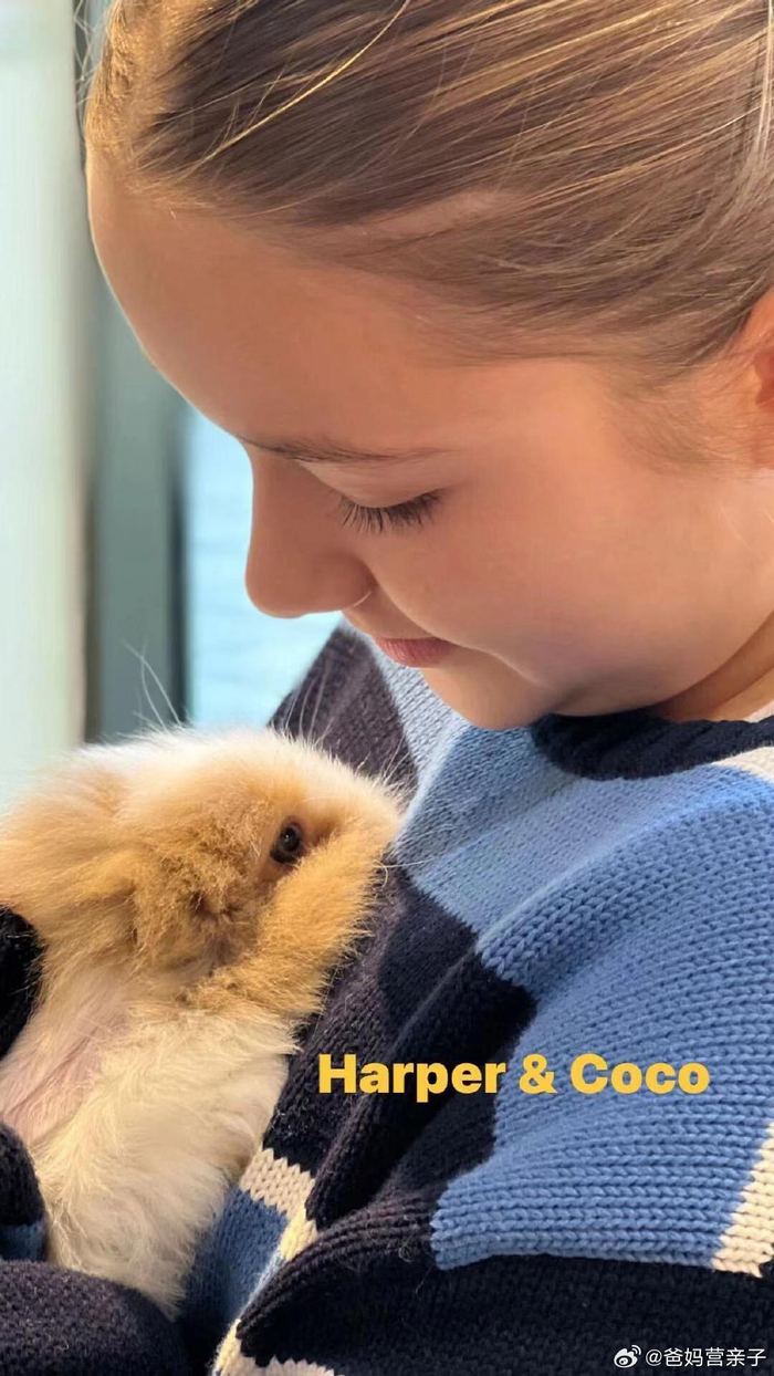 一组小七和她的萌宠的合照,可爱治愈