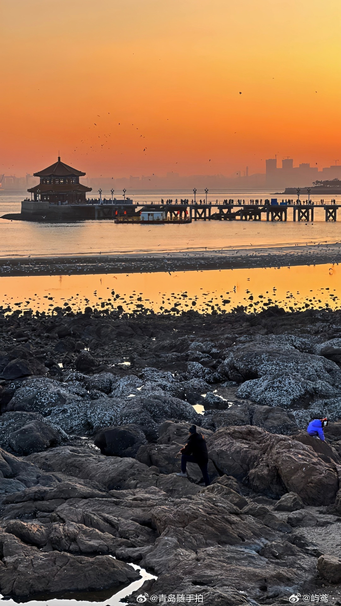 来看看屿鸢不舍得丢进plog拼图合集的青岛碎片07