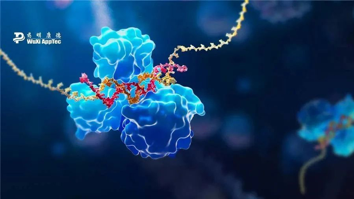 2022),卒中的五大主要风险因素分别为高收缩压(sbp;占daly总数的55