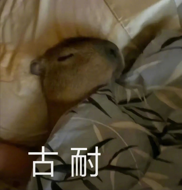 俏皮表情包:把你们豆沙咯!