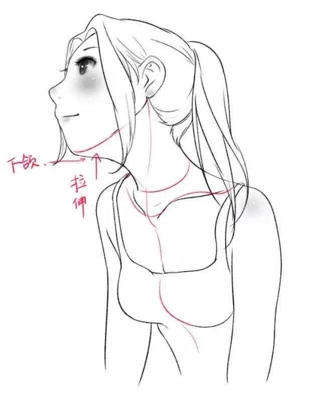 女性的锁骨怎么画?教你如何画出性感诱人的肩颈锁骨!