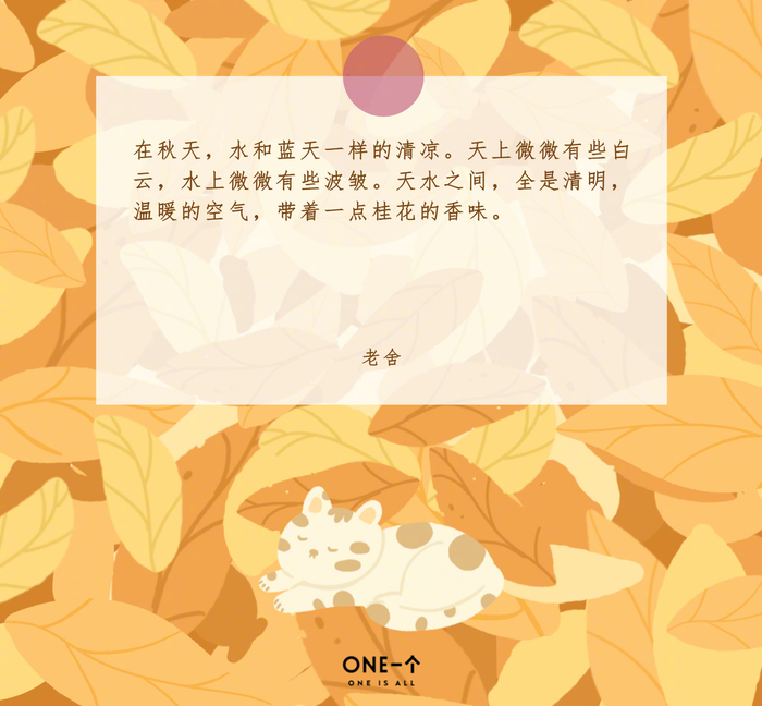 今天的风是秋天的信差