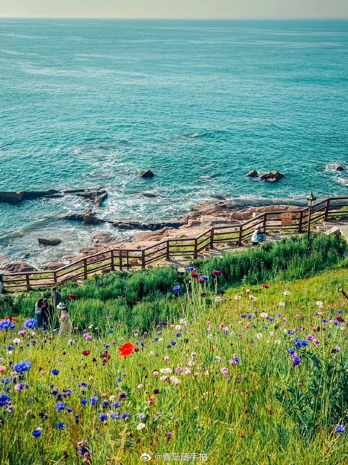 夏日的燕儿岛公园,是这样的!