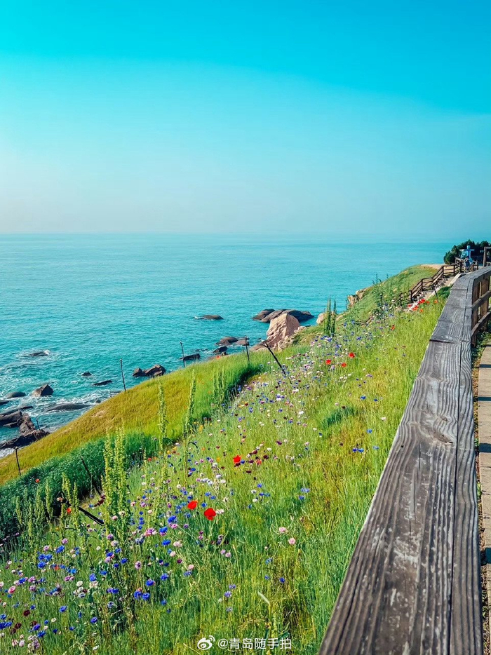 夏日的燕儿岛公园,是这样的!