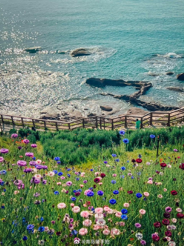 夏日的燕儿岛公园,是这样的!