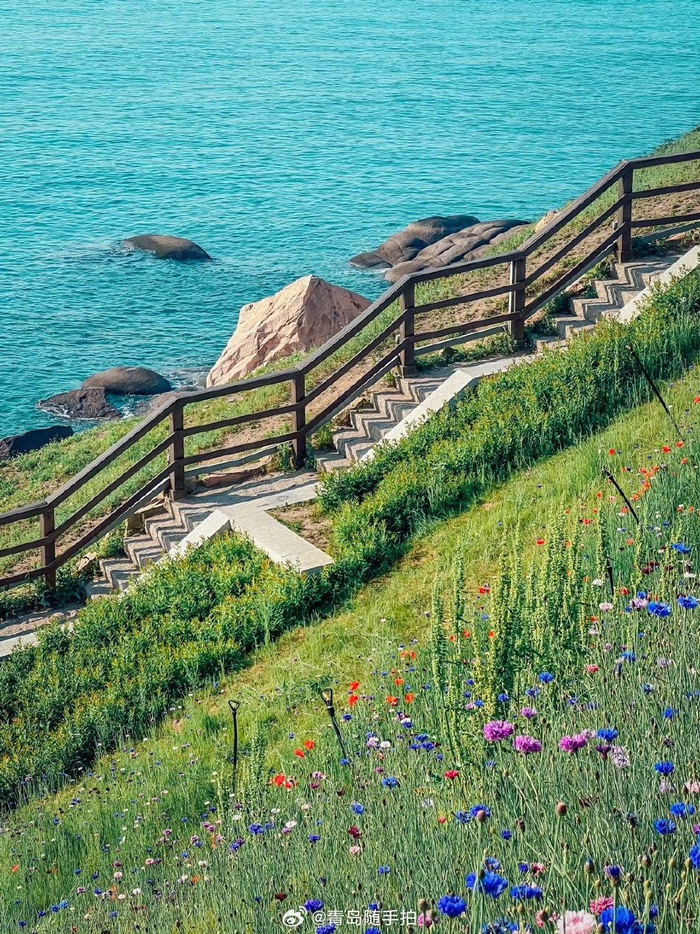 夏日的燕儿岛公园,是这样的!