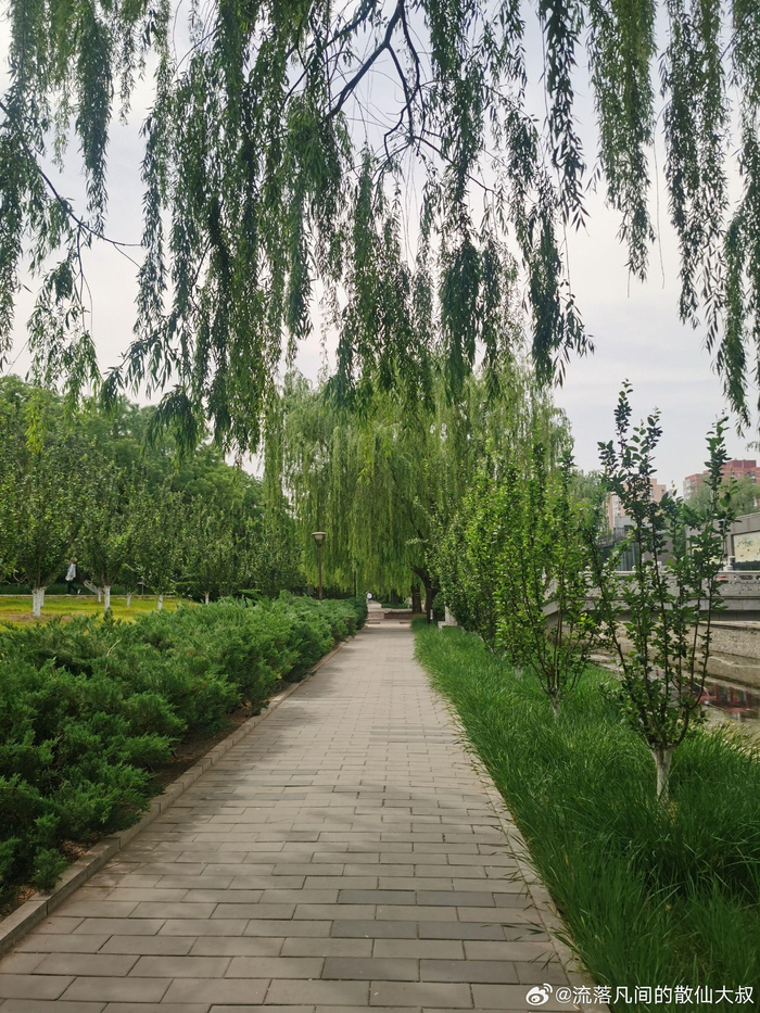 北京元大都遗址公园(和平里北口段) 摄影