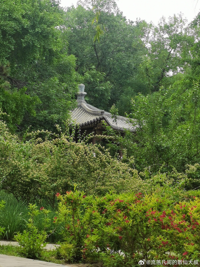 北京元大都遗址公园(和平里北口段) 摄影