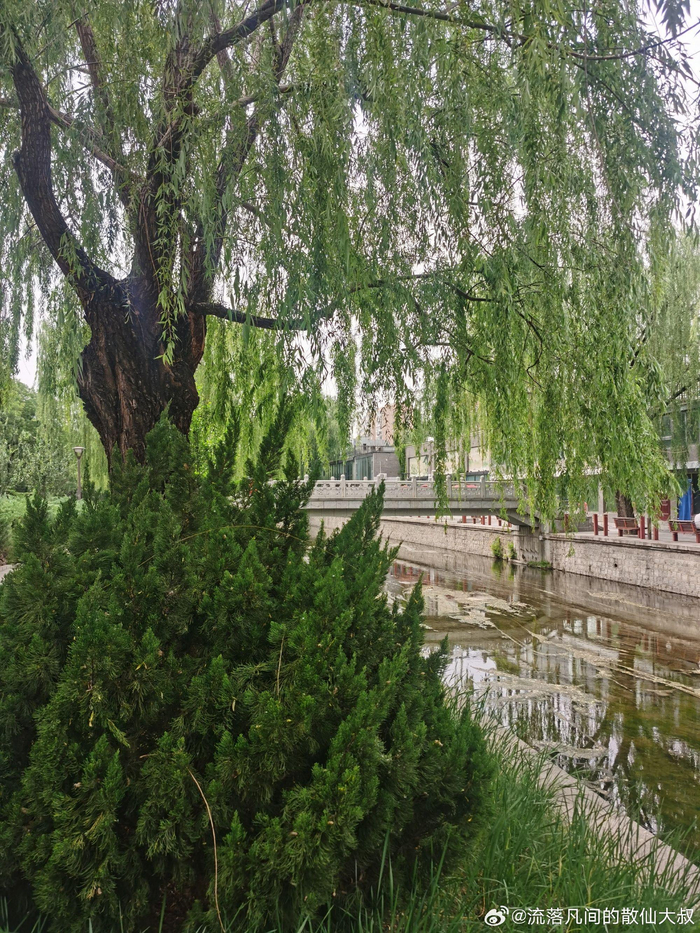 北京元大都遗址公园(和平里北口段) 摄影