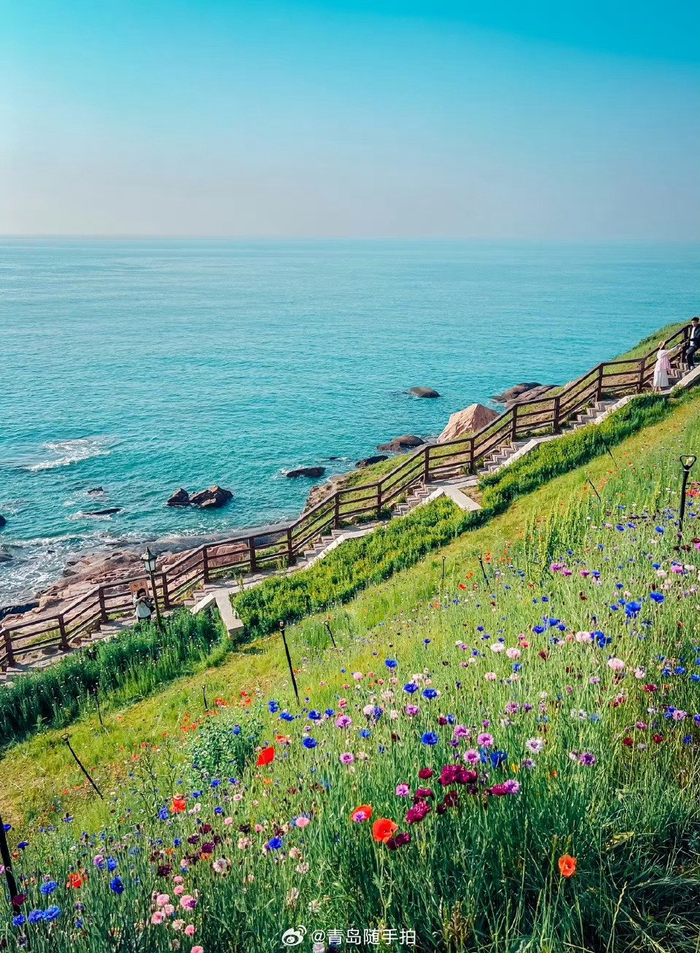 夏日的燕儿岛公园,是这样的!