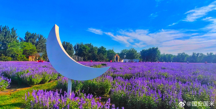 夏日北京紫谷伊甸园2023725摄影