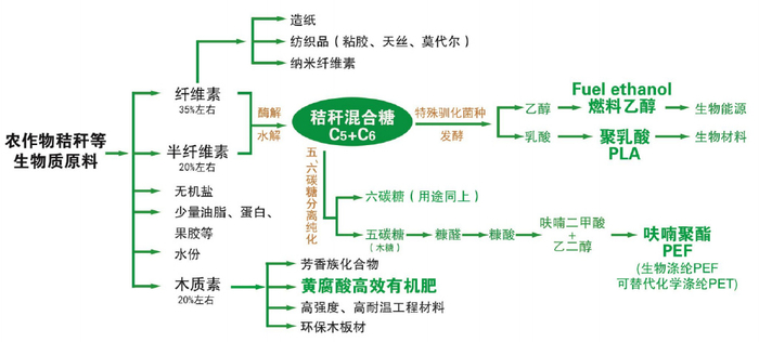 河南生物科技公司怎么选?从天丝生物科技看本土生物技术研发与产业化路径