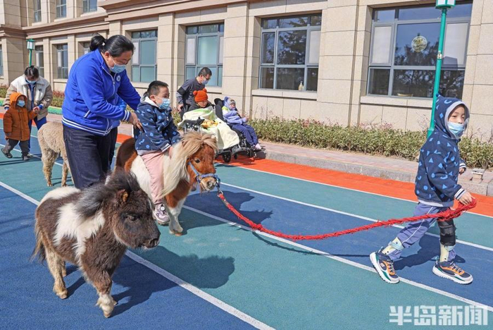 让他们也共享外面的世界|儿童福利院|小动物|青岛市_新浪新闻
