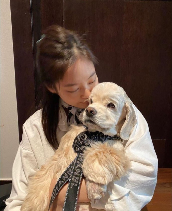 jennie和她的宠物们