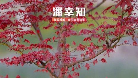 成年后把自己重养一遍，学会好好爱的4种方式