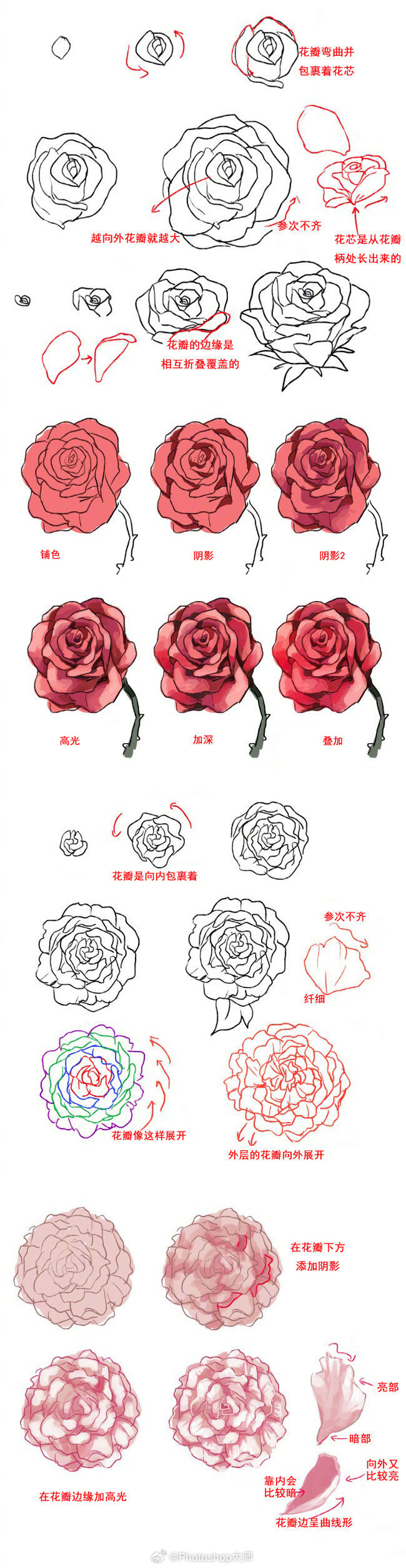一组关于花的绘画过程参考,收藏练习!