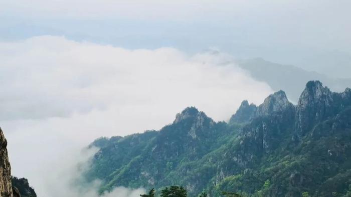 沈默诗选｜雪铺一地，像是天空送我大礼