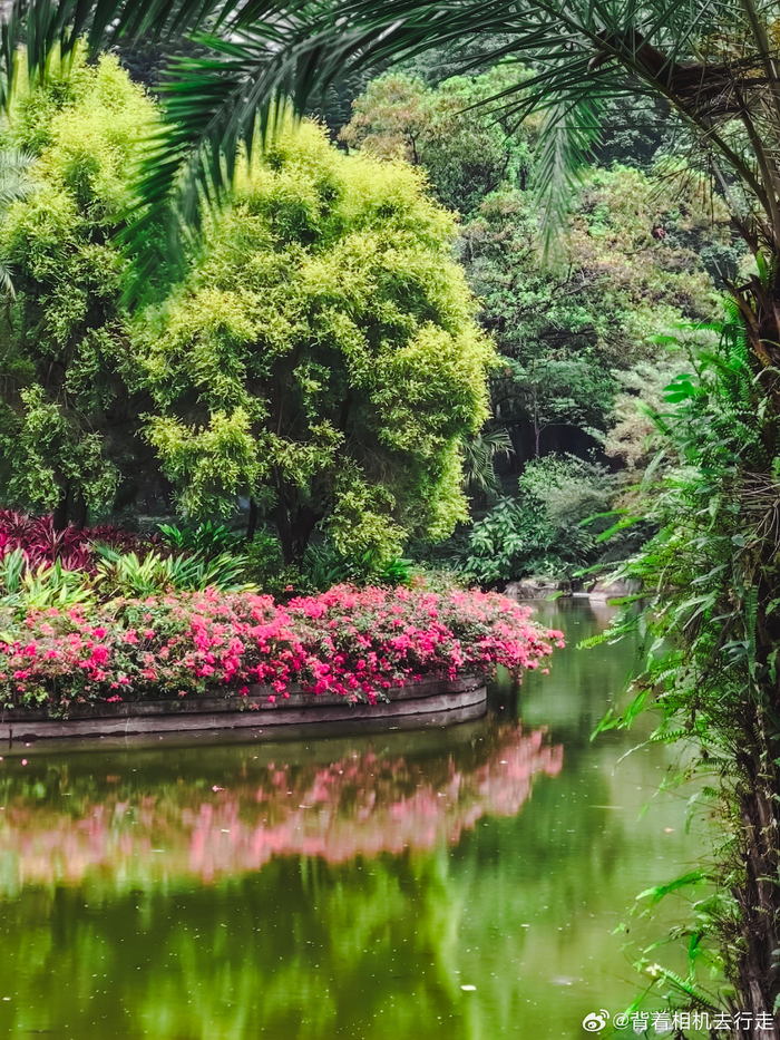 公园中的慵懒与松弛感微相册微博摄影