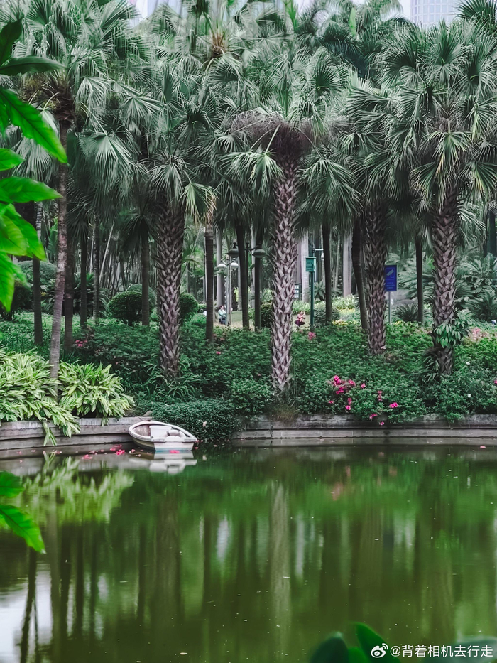 公园中的慵懒与松弛感微相册微博摄影