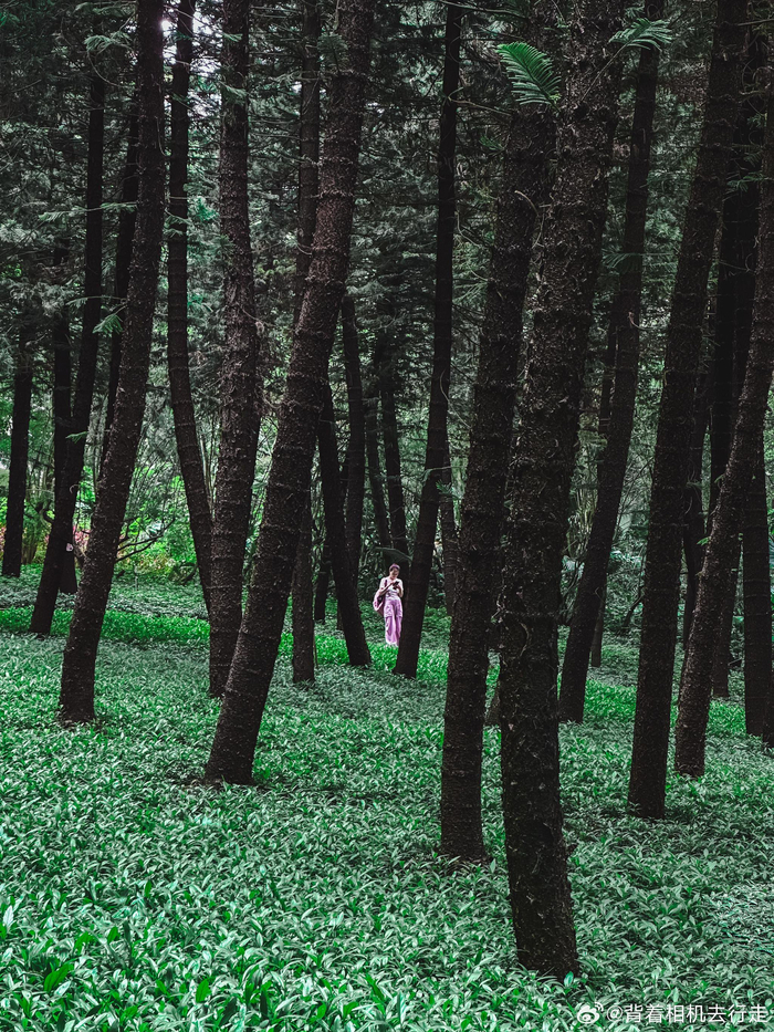 公园中的慵懒与松弛感微相册微博摄影