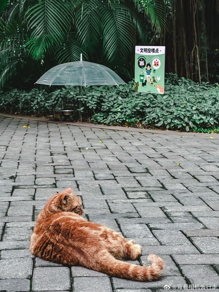 公园中的慵懒与松弛感微相册微博摄影