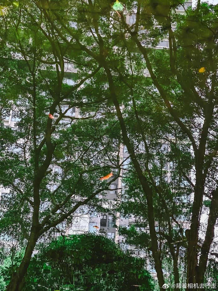 公园中的慵懒与松弛感微相册微博摄影