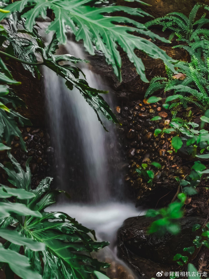 公园中的慵懒与松弛感微相册微博摄影